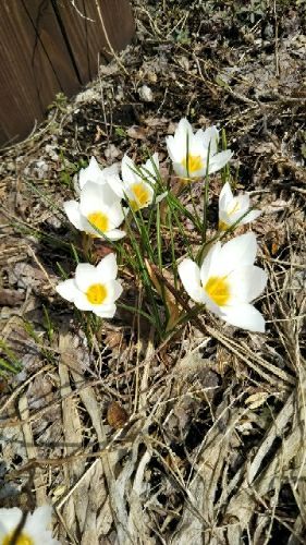 rblog-20180327204418-01.jpg