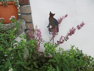 IMG_8124ss.jpg