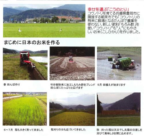 moromimai1