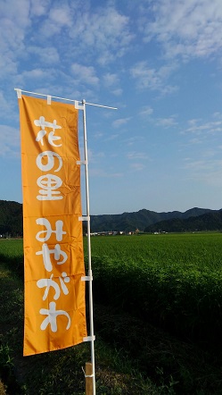 1470102464401[2].jpg