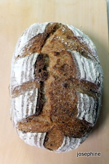 DSCF8251.JPG