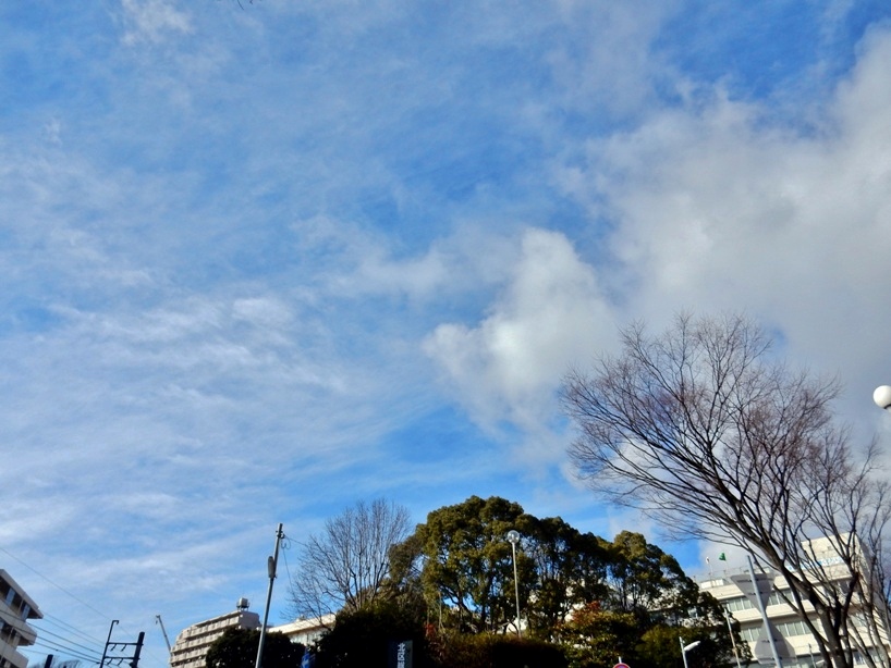 空 3.JPG