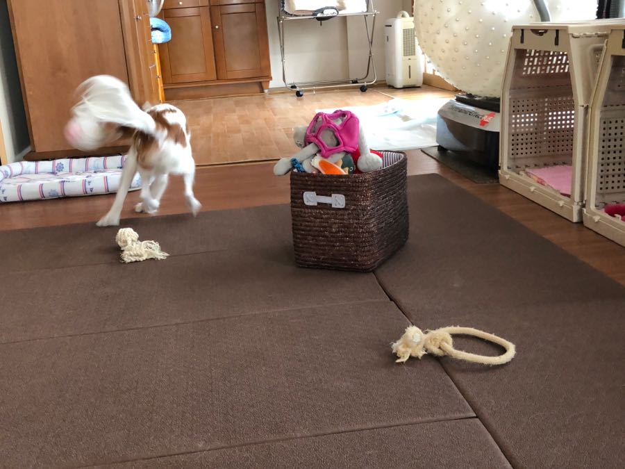 rblog-20181016090214-02.jpg