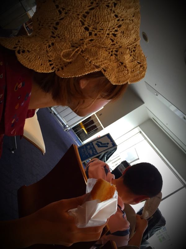 rblog-20150627130903-02.jpg