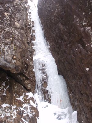 ２．１７F２.jpg