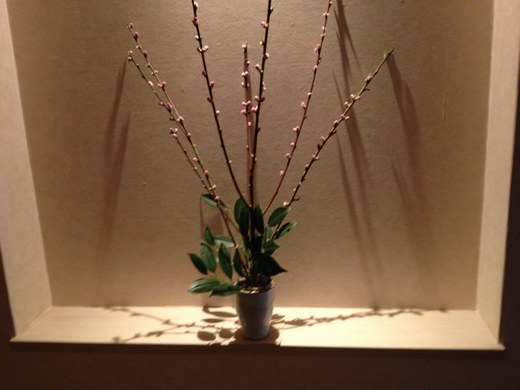 2玄関　桃の花　正面１520.jpg