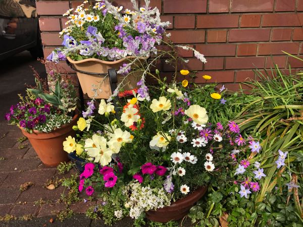 rblog-20190401163305-03.jpg