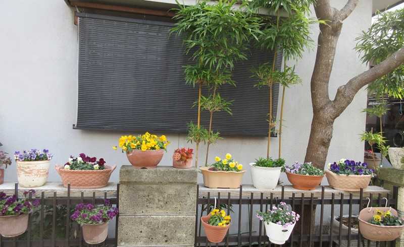 玄関横の空きスペース 長く咲く上手な寄せ植え作り 狭い庭を花いっぱいにする育て方 楽天ブログ