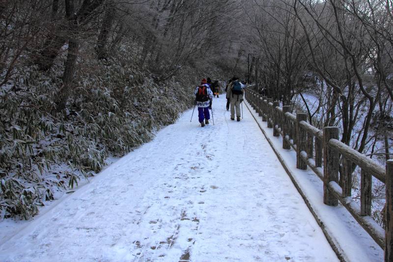 金剛山_2.jpg
