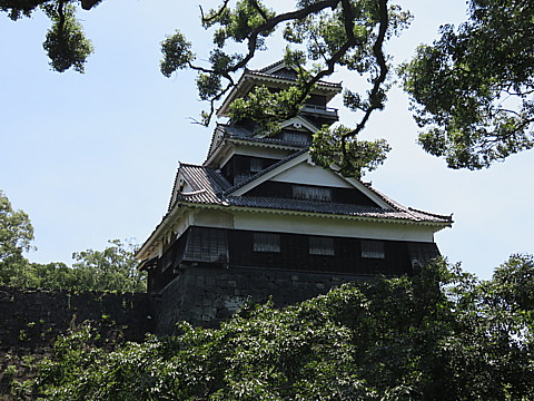 IMG_4793.jpg