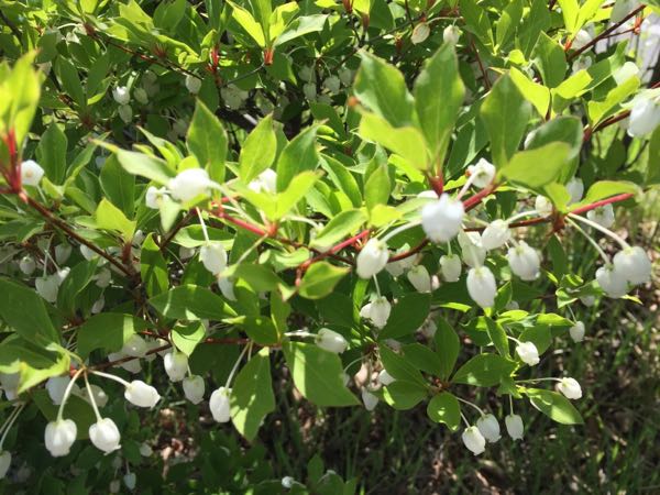 rblog-20180505160632-02.jpg