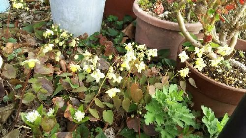 rblog-20180325054510-04.jpg
