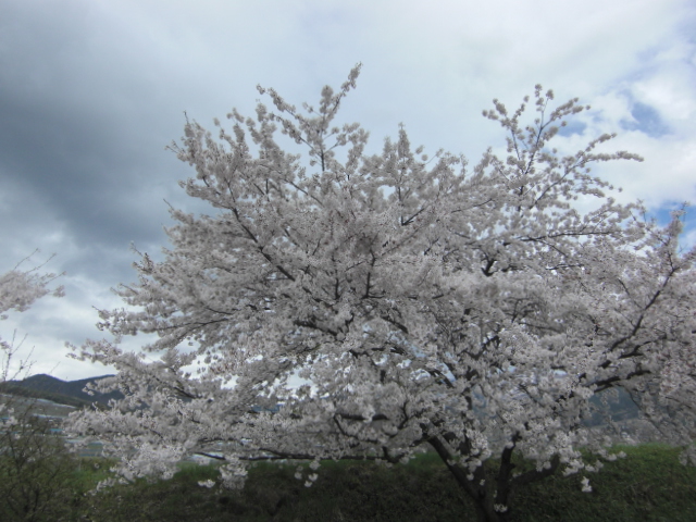 20150420.JPG