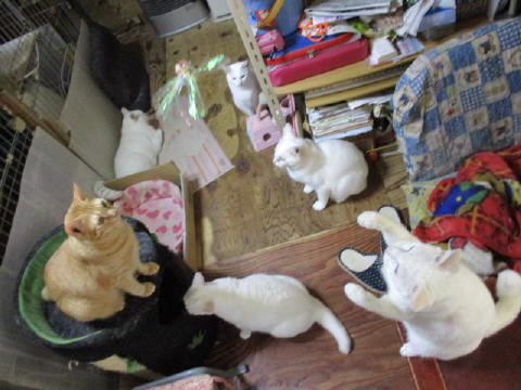 16a0339.jpg