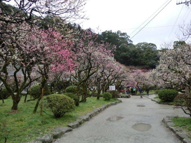 2012_0318_125931-CIMG0412.jpg