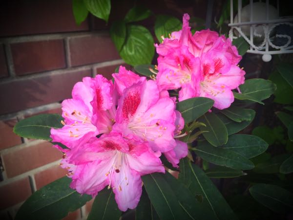 rblog-20160426175441-01.jpg