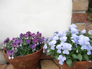 IMG_5387ss.jpg