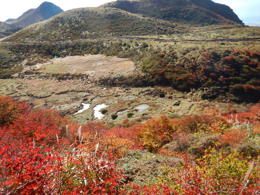 星生山に向かう尾根から下の谷を見た光景見た光景.jpg