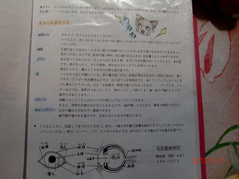 025-2.jpg