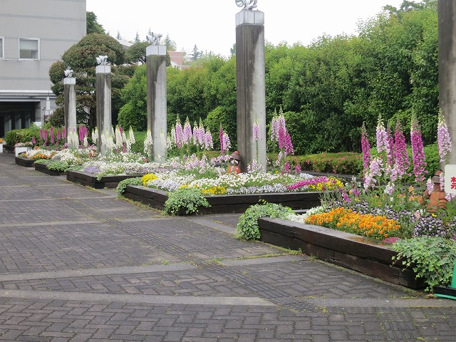 2014年5月15日市役所花壇