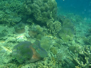 PA279620.JPG