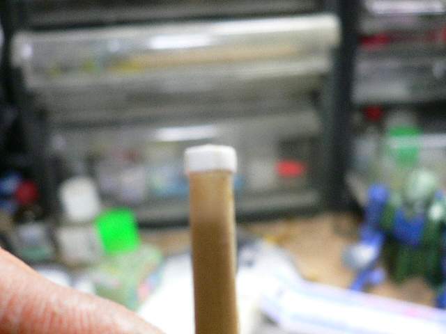 P1030157.jpg