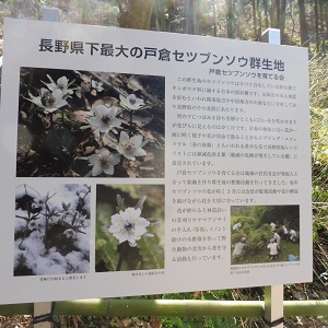P1040034.JPG