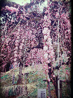 rblog-20140307214257-02.png