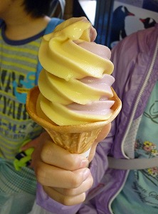 20150509(38).jpg