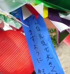 保育園の七夕 (7)