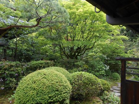 大徳寺　高桐院