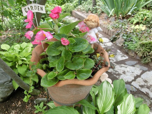 ベゴニア寄せ植え