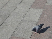 P1100690
