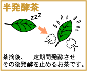 hanhakkou-pic.gif
