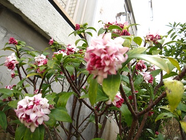 IMG_7876.JPG
