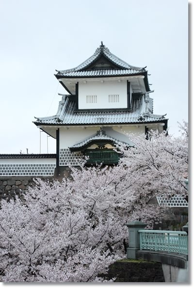 金沢城公園-1 18：14　15.4.11