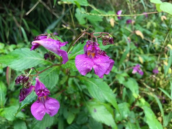 rblog-20170929122708-00.jpg