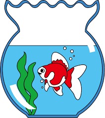 yjimageBIRVB30T.jpg