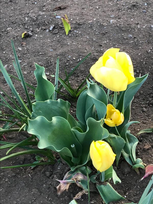 rblog-20180408180927-01.jpg