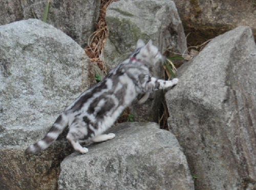 DSC_0161.JPG