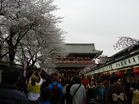 DSCN0834.JPG