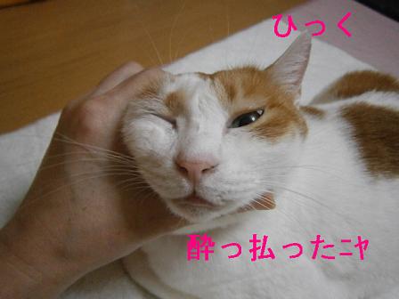 maruko