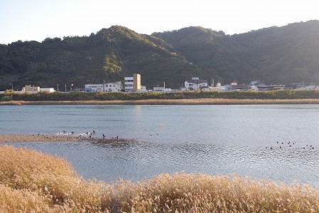 s-DSC_0406.jpg