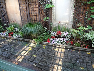 DSC01353.jpg