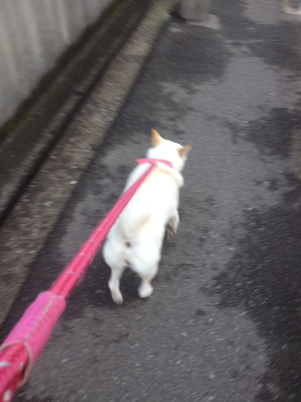 rblog-20150227125000-01.jpg