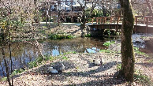 rblog-20150328150335-01.jpg