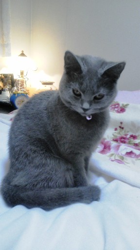20131114142543.jpg