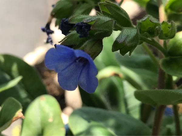 rblog-20190423182021-04.jpg