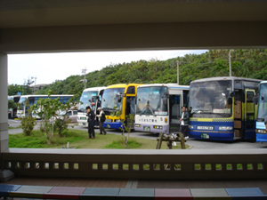 西表島大原港のバス