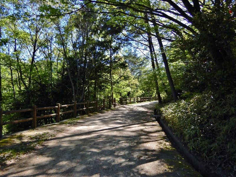 香りの道